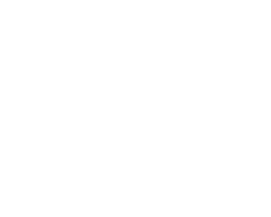 caslin logo