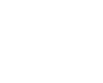 caslin logo